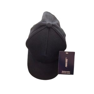 Panel Cap Black